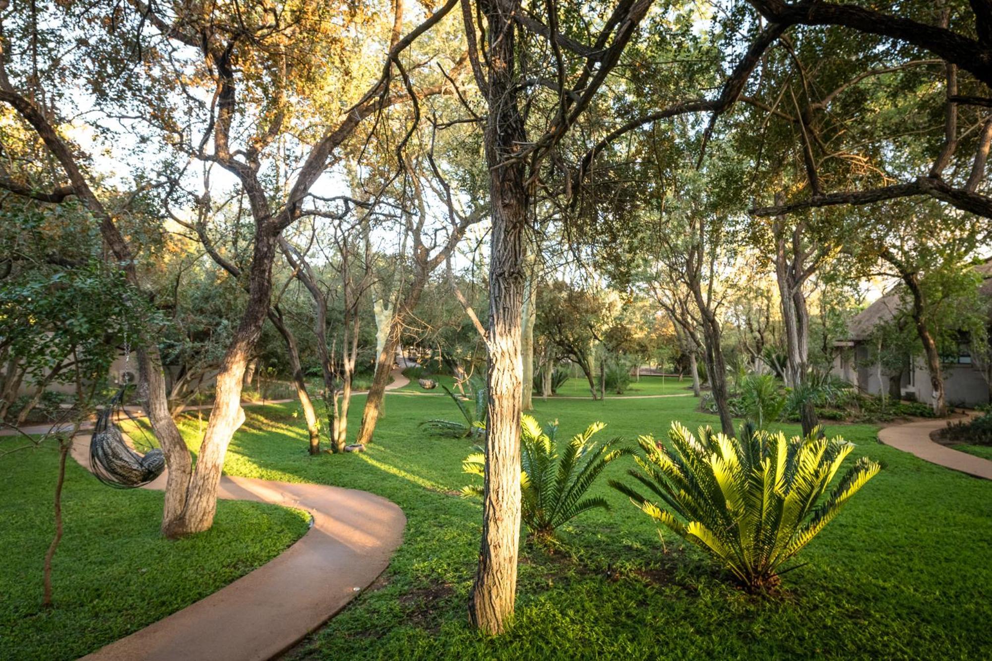 Serondella Safari Lodge Khu bảo tồn Khu bảo tồn Thornybush Game Reserve Ngoại thất bức ảnh