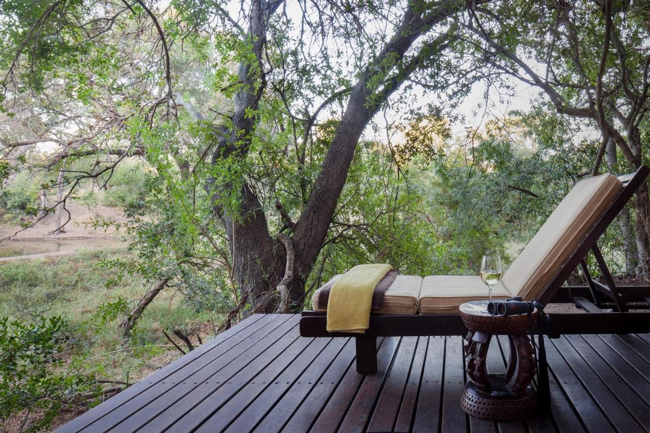 Serondella Safari Lodge Khu bảo tồn Khu bảo tồn Thornybush Game Reserve Ngoại thất bức ảnh