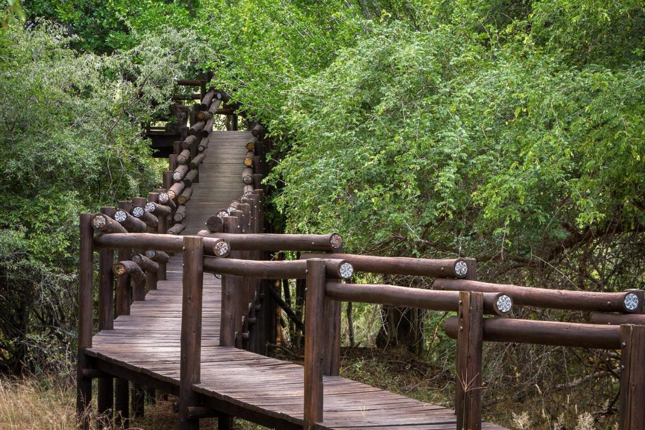 Serondella Safari Lodge Khu bảo tồn Khu bảo tồn Thornybush Game Reserve Ngoại thất bức ảnh